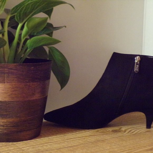 CIRCUS - Picture 9 of 9